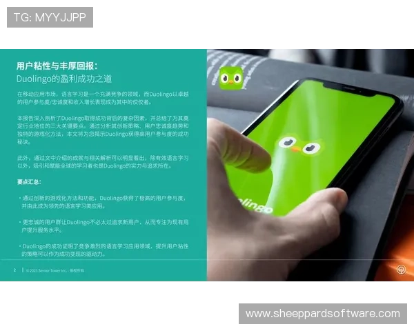 乐鱼体育官方推出会员专属福利，提升用户粘性与平台忠诚度